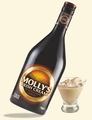 Molly's Irish Cream 1L